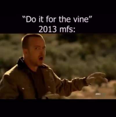 Bravo Vine
