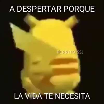 DESPERTA LOCO!!!
