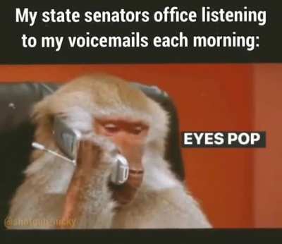 Why yes I do have an interest in politics 