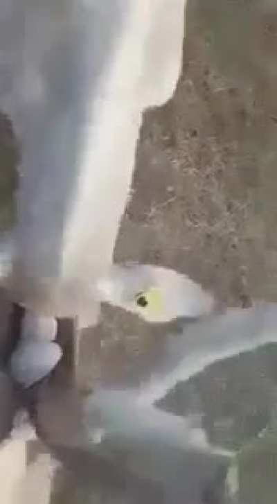 How? And how?