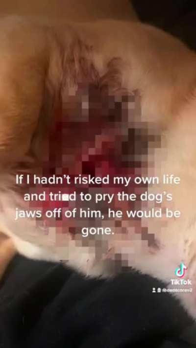Posted my story on TikTok&hellip; got flooded with pitnutters! Victim blaming, same excuses, no solutions. It&rsquo;s a never-ending story.