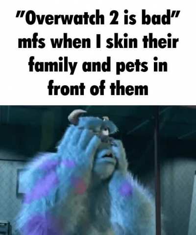I own 5 cats and am a licensed dog breeder