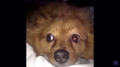 *growls* ahhh