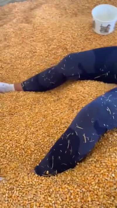 It's Corn! Jiggle