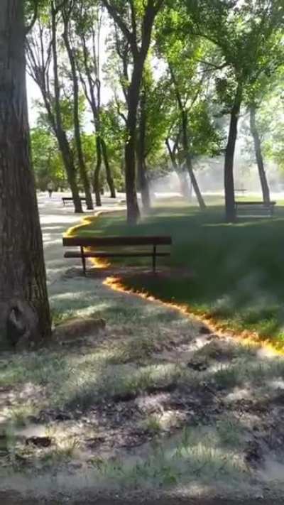 Layer of fluff being getting removed from the grass in Spain.