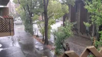 It's finally raining in the Bay Area!