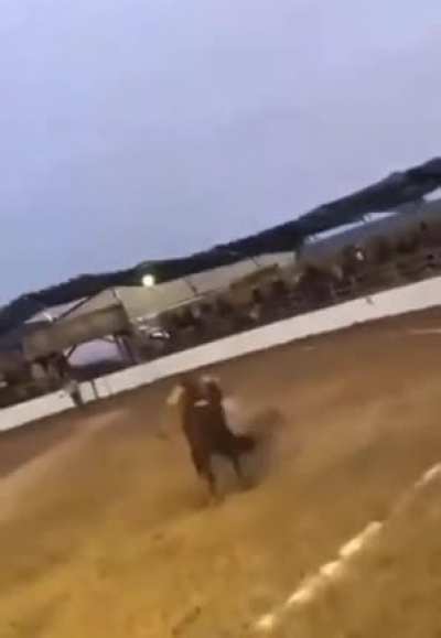 He slammed a horse
