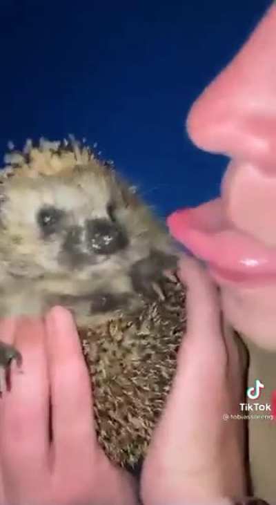 Shake hands bro-