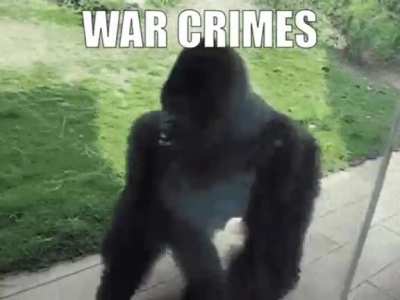 Geneva Suggestion