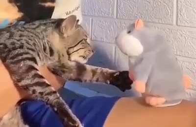 CIA Interrogations Officer