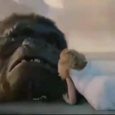 AAAAA MACACOOO