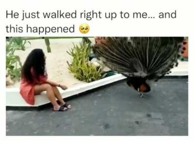 Whatta moment