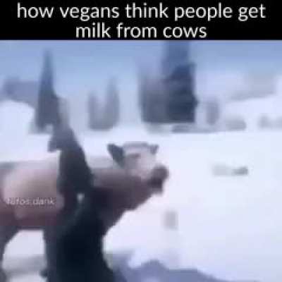 Is it not?