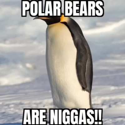 penguin gang