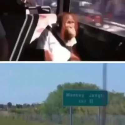 Time to go home