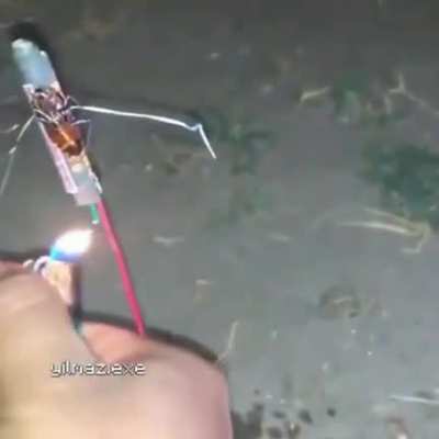 roger a primeira barata a ir para o espa&ccedil;o