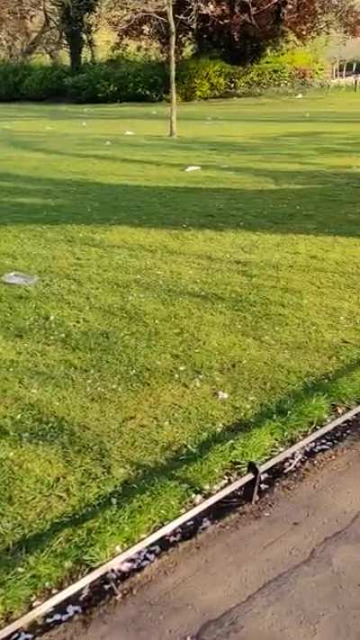 The state of Stephens Green this morning..