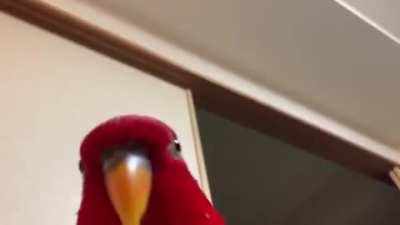 Postando s&oacute; pq achei fofim :3