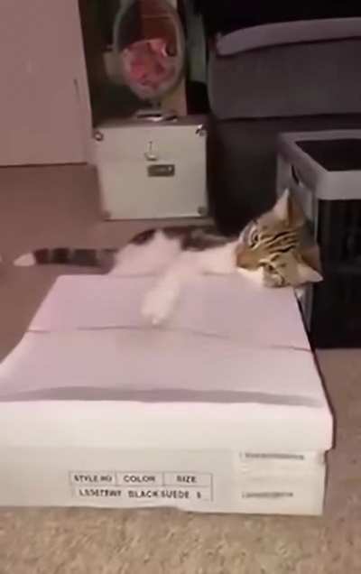 The real talent