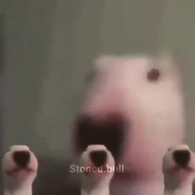 Walter do be still standin tho ngl