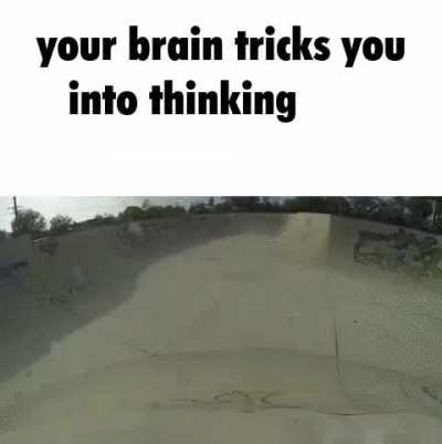 skrinky shrumblo 🐈&zwj;⬛