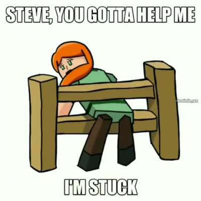Steve help pls