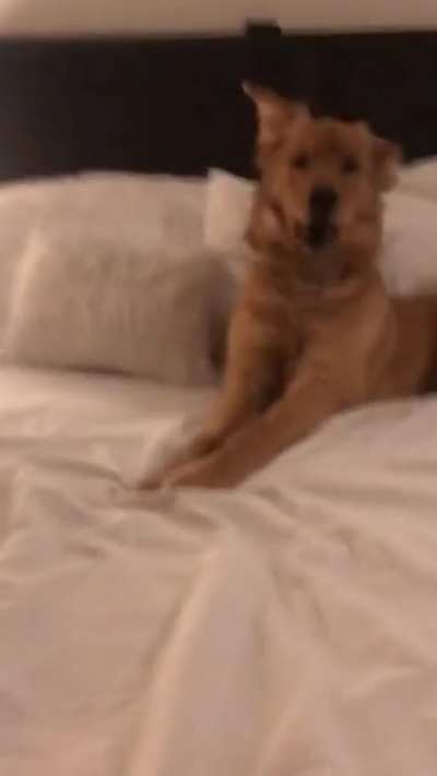 U make bed, I unmake hehe
