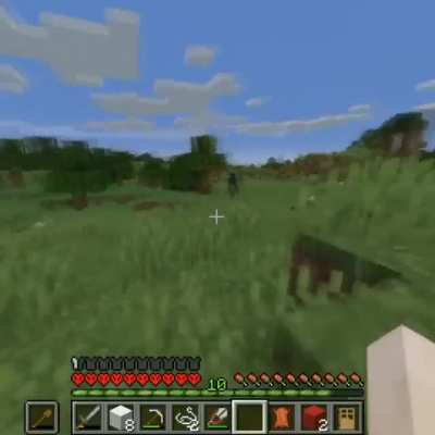 Thats an enderman right?