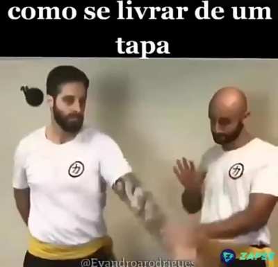 Auto defesa