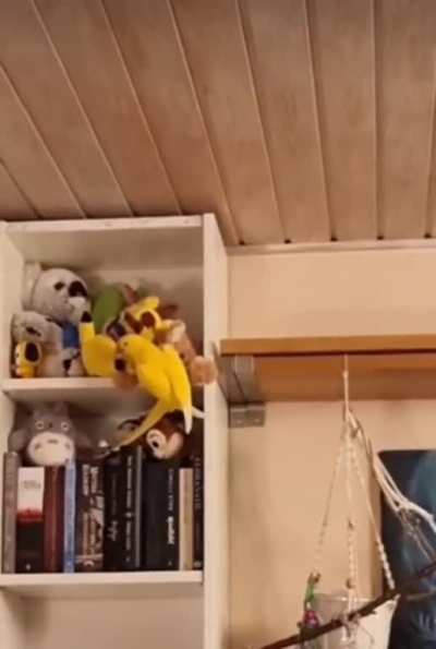 Birb was okay