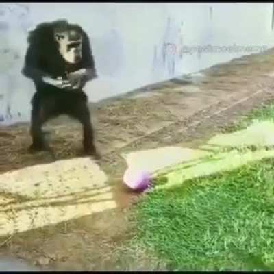 Bruh