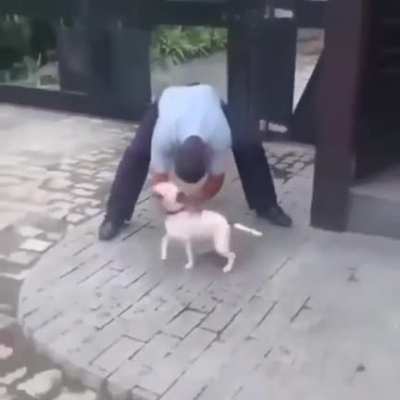 Did not saw that coming