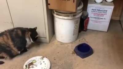 "You gonna help me or not?"