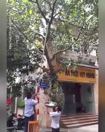 Maybe Maybe Maybe