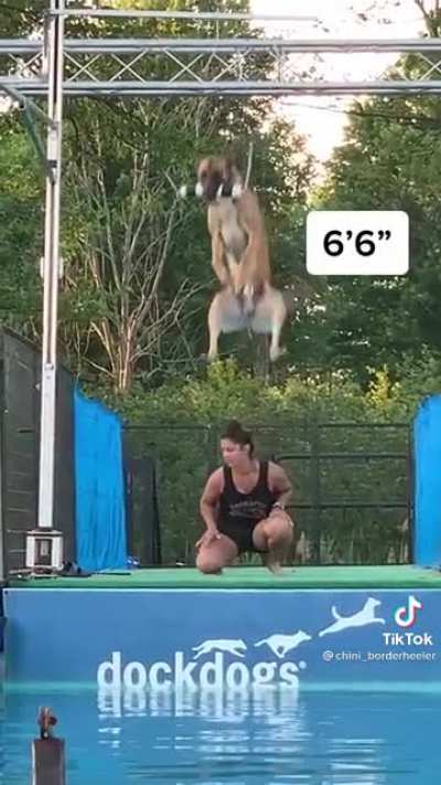 Some hops on em