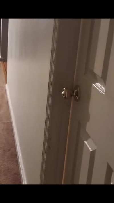 Skeletons in the closet