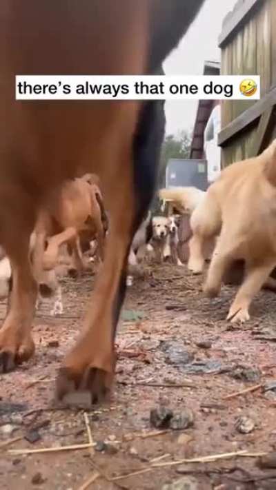 wait for it