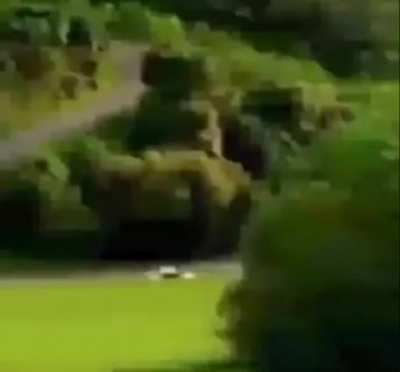 *fart*