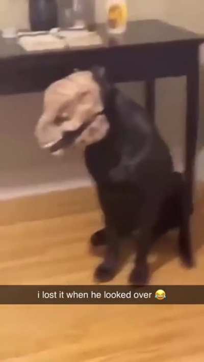 Neck turn on point 😂