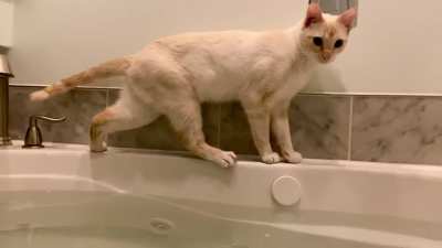 He insists that he should be able to get to the back corner of the tub - every time this happens&hellip;.