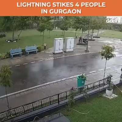 Why you shouldn&rsquo;t stand under a tree during a rain shower...