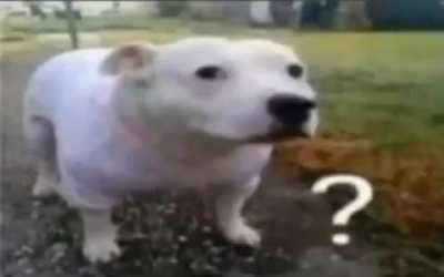 am?