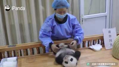 A panda a day keeps the sorrow away