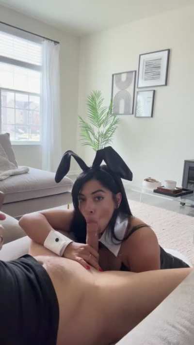 He wanted a playboy bunny so he got a playboy bunny