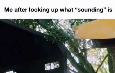 Nope not a fan 