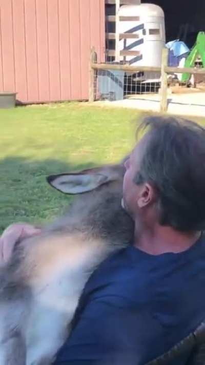 This guy serenades a baby donkey