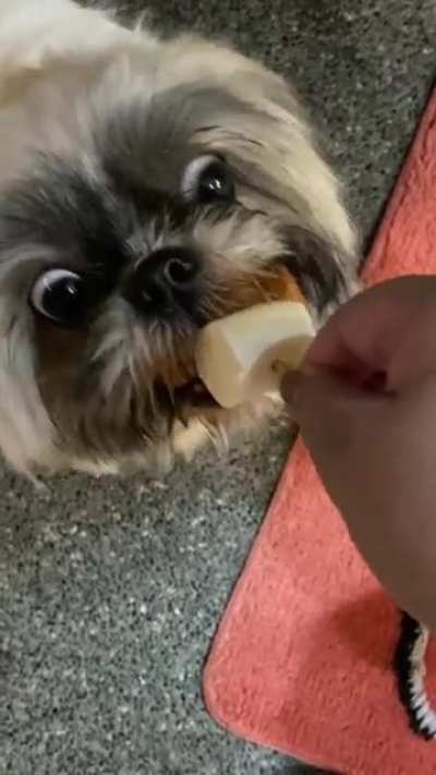 just the hotdog
