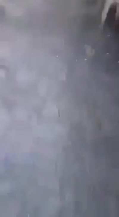 Rate my dive.