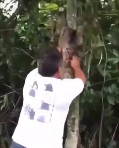 Блиц, блиц, скорость без границ