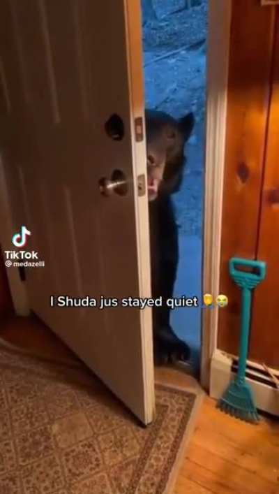 what did you just say?